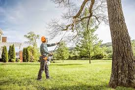 Best Pest Control for Lawns  in Mono Vista, CA